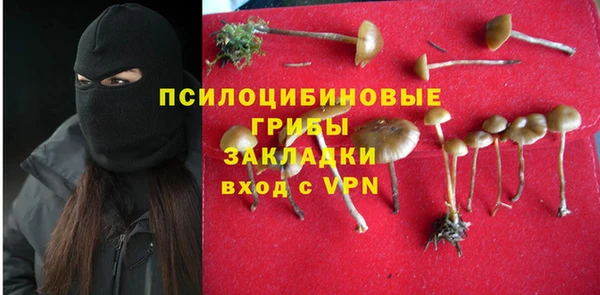 твердый Бронницы