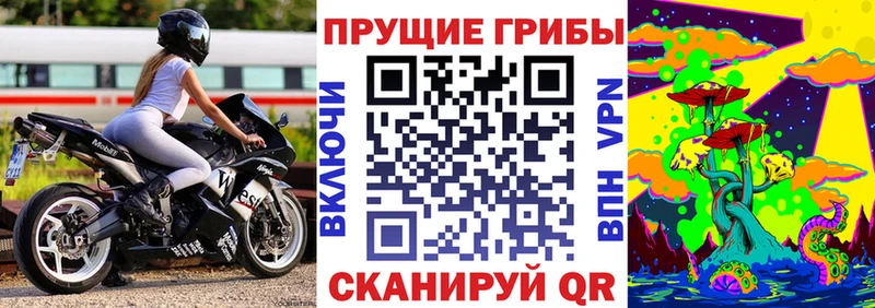 blacksprut ТОР  Хасавюрт  Галлюциногенные грибы ЛСД  где найти наркотики 